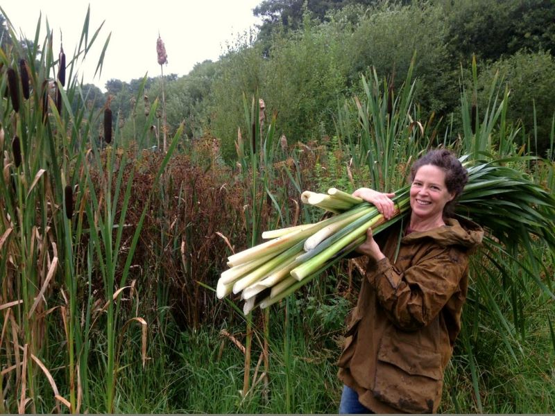RubyTaylorNativeHandsreed mace harvest 2